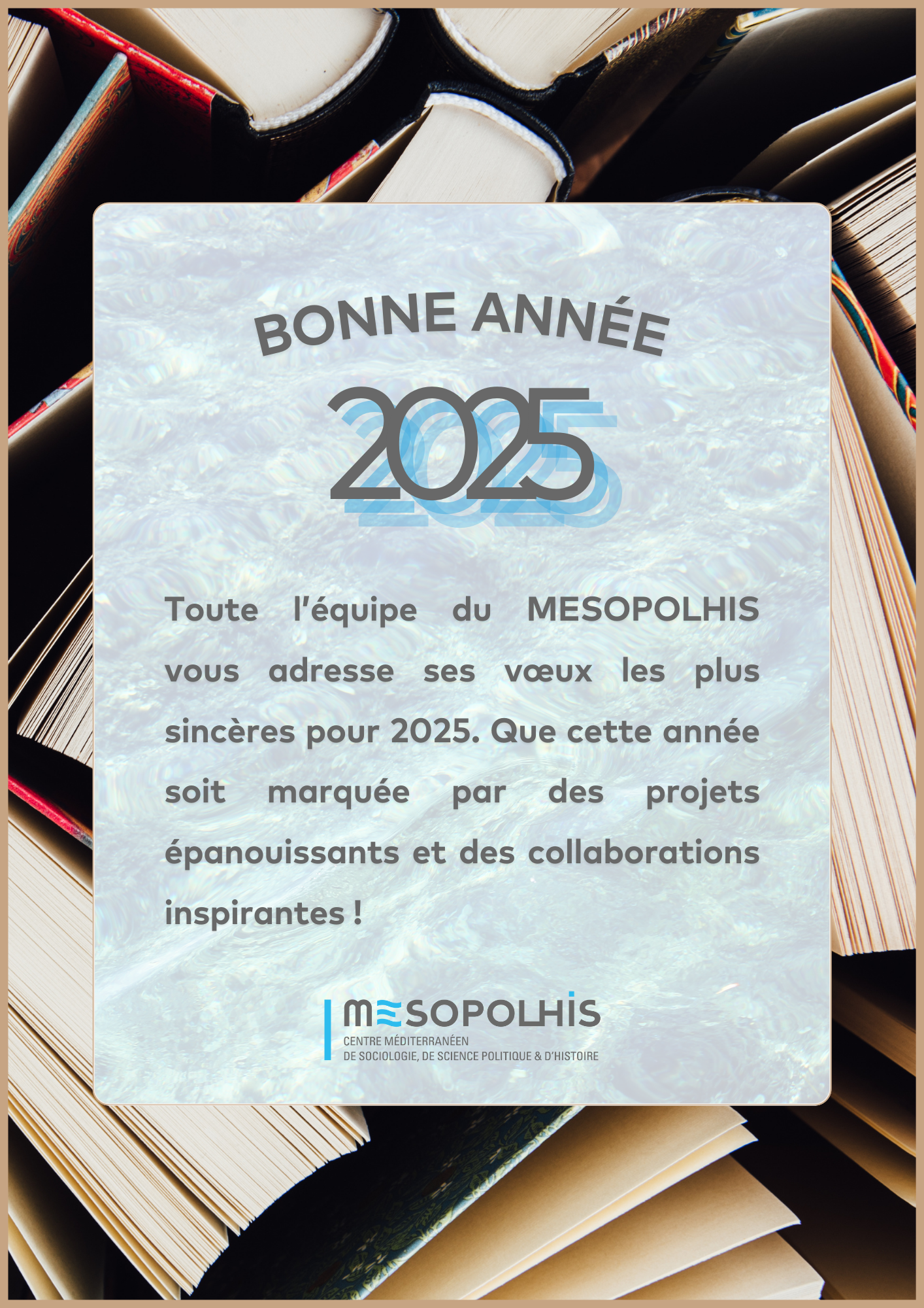 Voeux 2025 MESOPOLHIS