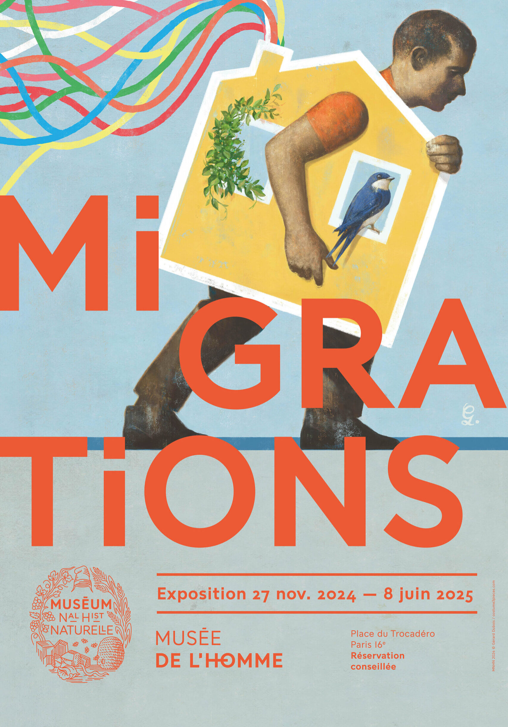 Migrations_20x30